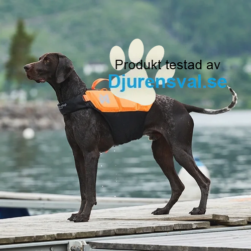 Non-Stop Dogwear Protector Flytväst till hund Orange & Svart